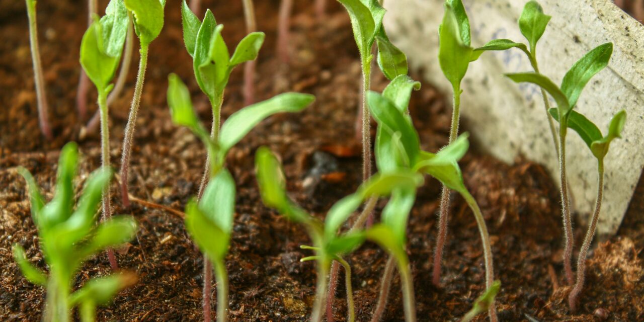 Du bio dans vos formations- Alimentation, HoReCa et Agronomie- 15 octobre 2024