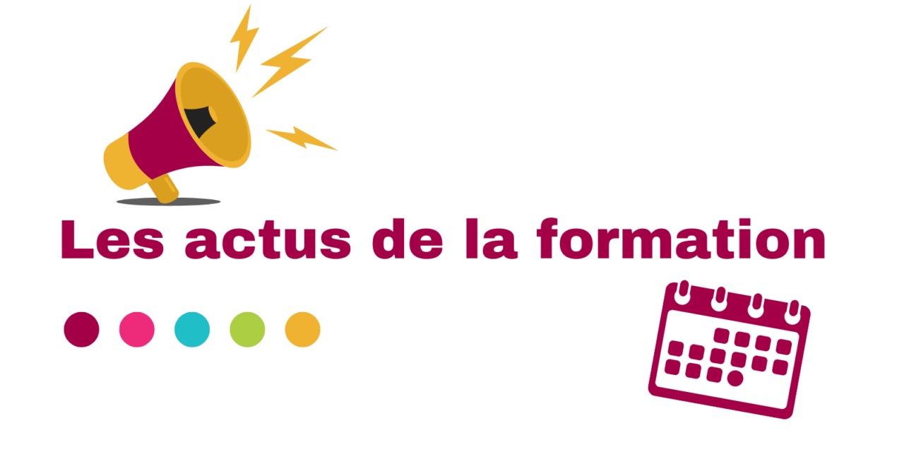Newsletter de novembre 2024