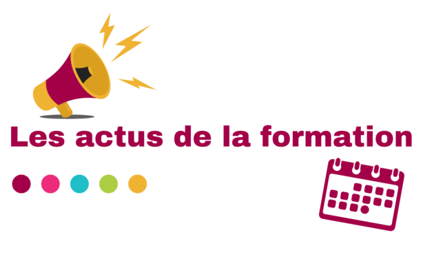 Newsletter de novembre 2024