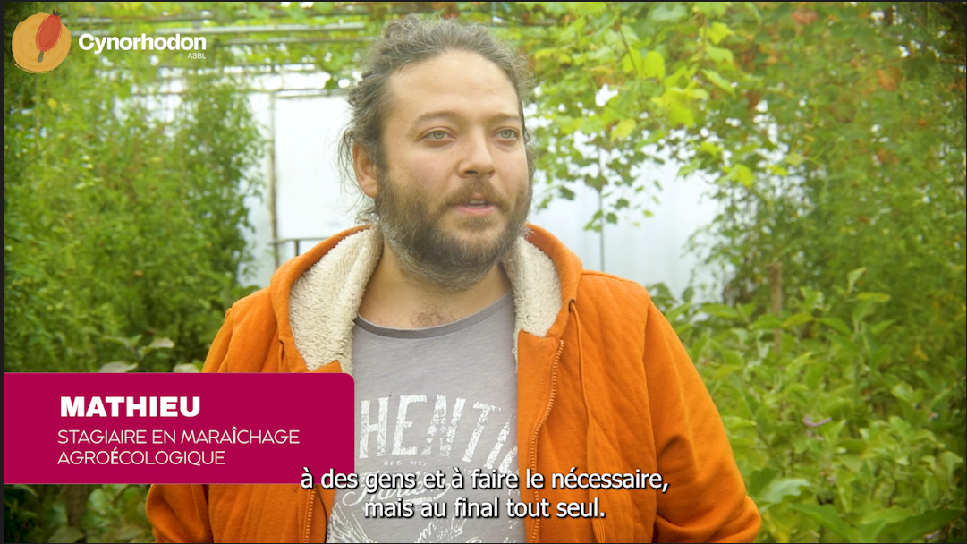 Témoignages de stagiaires en CISP
