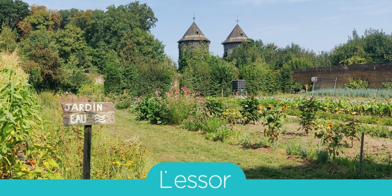 Trouver son chemin vers l’emploi (dossier – essor n°112)