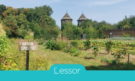 Trouver son chemin vers l’emploi (dossier – essor n°112)