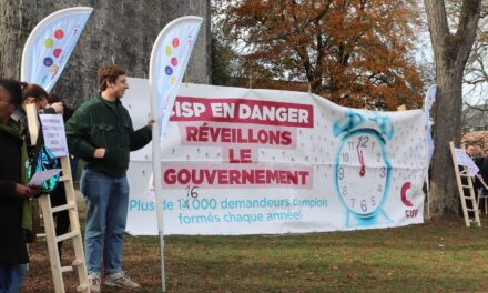 Mobilisation du secteur CISP du 12 novembre
